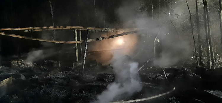 Под Ярославлем при пожаре на производстве угля погибли люди_259096