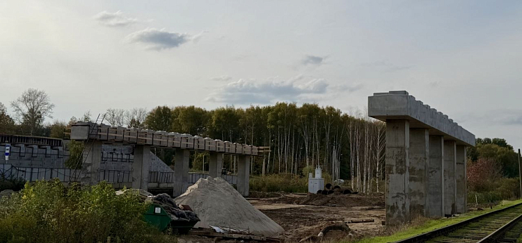 Ярославцам показали и рассказали, как строится третий мост через Волгу_323642
