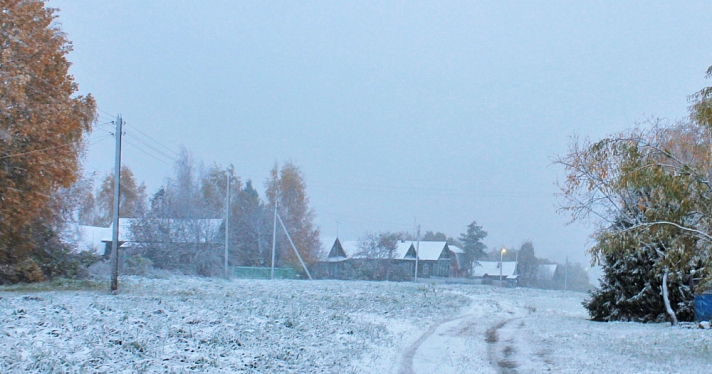 Часть Ярославской области неожиданно завалило снегом