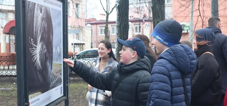 В Ярославле открылась фотовыставка, посвящённая Соловецкому архипелагу_314306