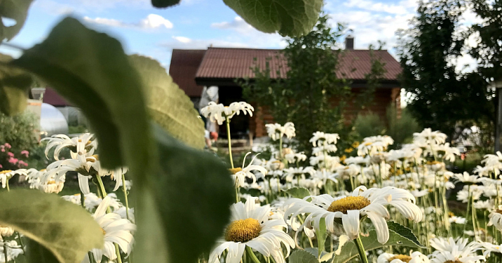 В Ярославской области усилили связь для более чем 3000 дачников