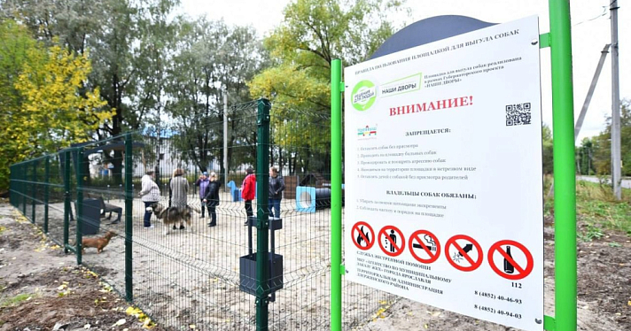 В центре Ярославля появится ещё одна площадка для выгула и дрессировки собак
