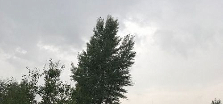 МЧС: на Ярославль надвигается гроза и сильный ветер