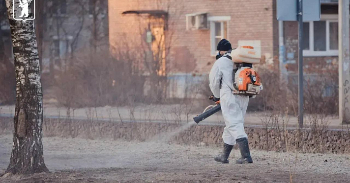 Оборона против клещей: в Ярославле обработают более 500 гектаров городских территорий