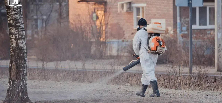 Оборона против клещей: в Ярославле обработают более 500 гектаров городских территорий