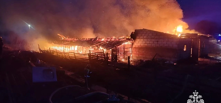 Сигарета привела к пожару: в Ярославской области погибли люди и животные_314970