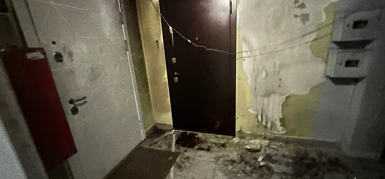 В брагинской новостройке неизвестные подожгли детскую коляску_314683