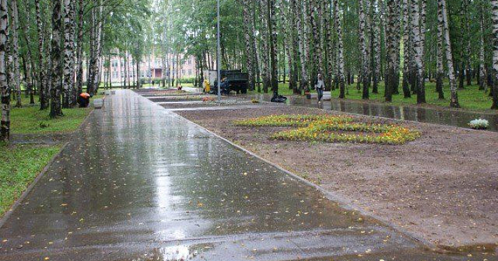 Более четырех тысяч цветов высадили в Заволжском районе
