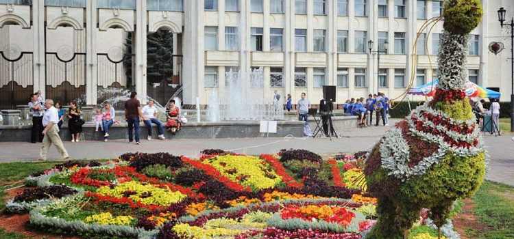 В Ярославле высадят цветы на 18 миллионов рублей