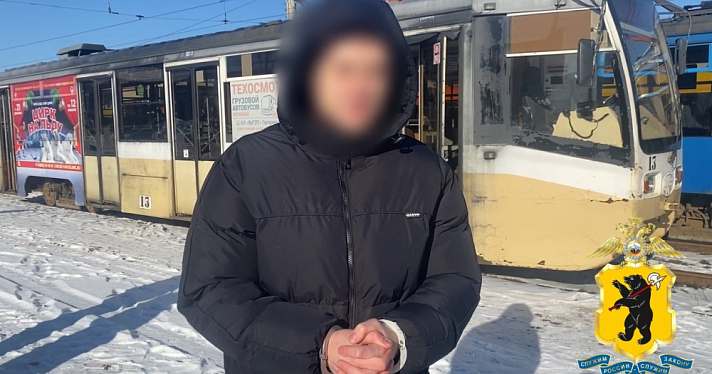 Трое жителей Липецка приехали в Ярославль заниматься вандализмом