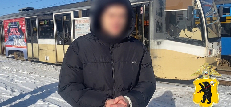 Трое жителей Липецка приехали в Ярославль заниматься вандализмом