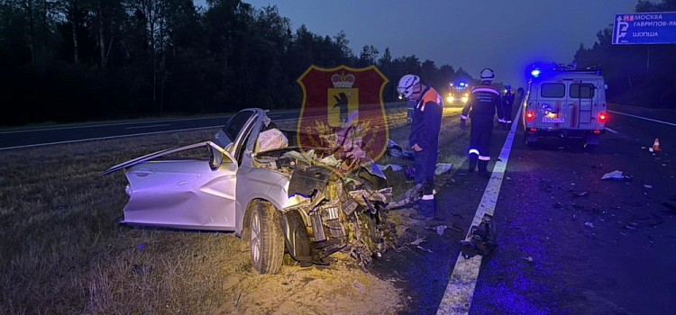 Два человека погибли в ночной аварии с лосем и фурой на М-8 под Ярославлем