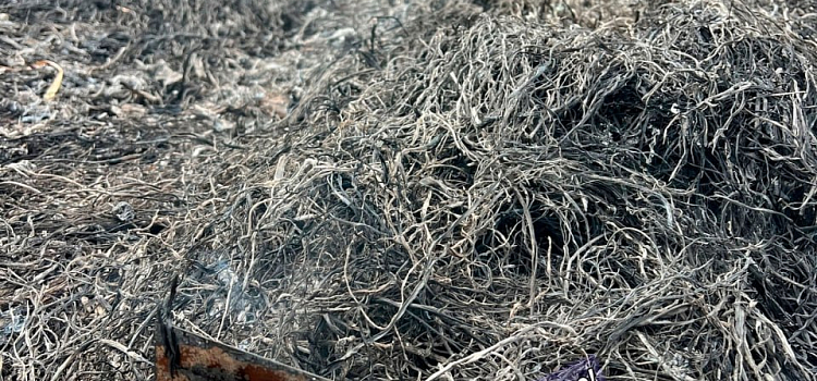 В Ярославле загорелось Осташинское кладбище_294839