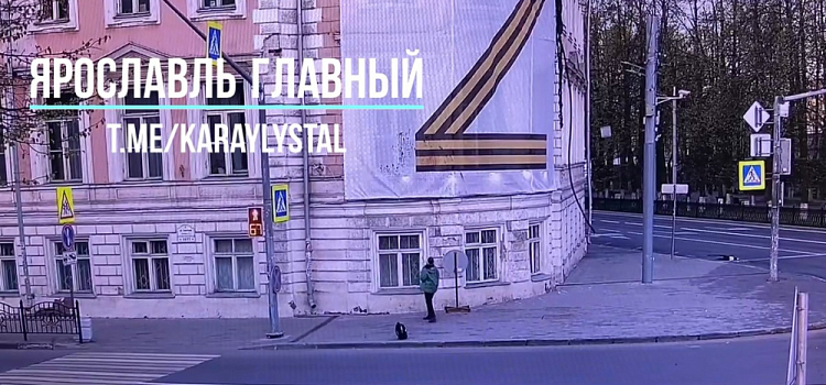 В Ярославле задержали девушку, обрызгавшую краской патриотический баннер