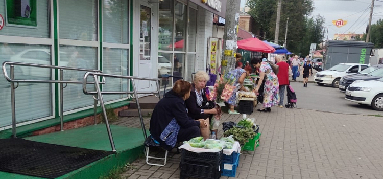 В Ярославле оштрафовали и разогнали пенсионерок, торгующих овощами и цветами с дач
