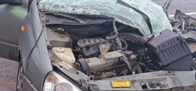 На трассе М-8 в Ярославской области погиб человек_315124