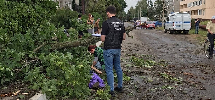 Семье погибшей от упавшего дерева женщине окажут материальную помощь