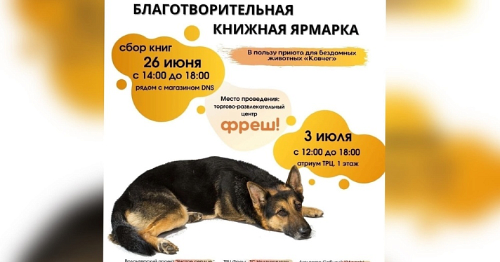В Ярославле состоится благотворительная книжная ярмарка «Читай в поддержку животных»