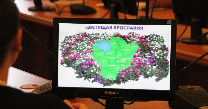 В рамках проекта «Цветущая Ярославия» посадят более 120 тысяч цветочной рассады