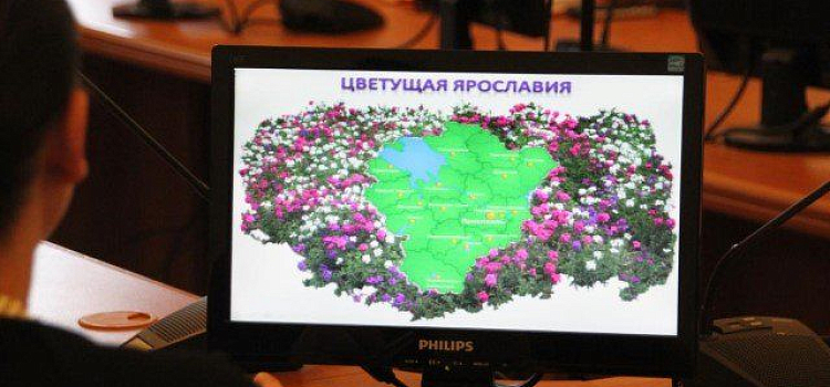 В рамках проекта «Цветущая Ярославия» посадят более 120 тысяч цветочной рассады