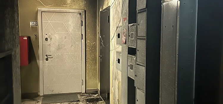 В брагинской новостройке неизвестные подожгли детскую коляску_314685