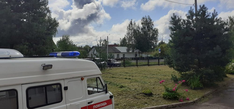 Под Рыбинском в ДТП с лосем погиб человек