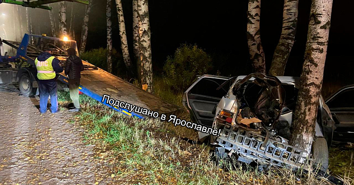 В Ярославском районе водитель врезался в дерево и оставил автомобиль_251458