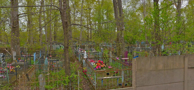 Оцифрованы ещё два ярославских кладбища