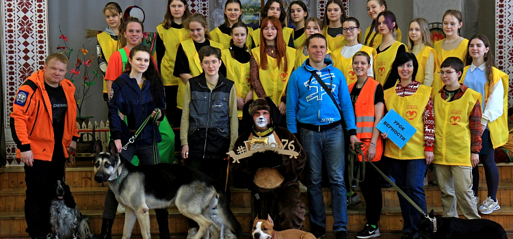 Верные друзья: в Ярославле состоится благотворительное шоу в поддержку приютов для собак_239695