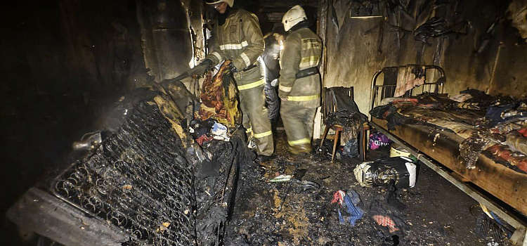 Погибли 150 птиц: в Ярославской области сгорел птичник_305588