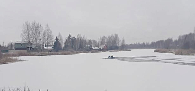 В Ярославской области спасли собаку, провалившуюся в полынью