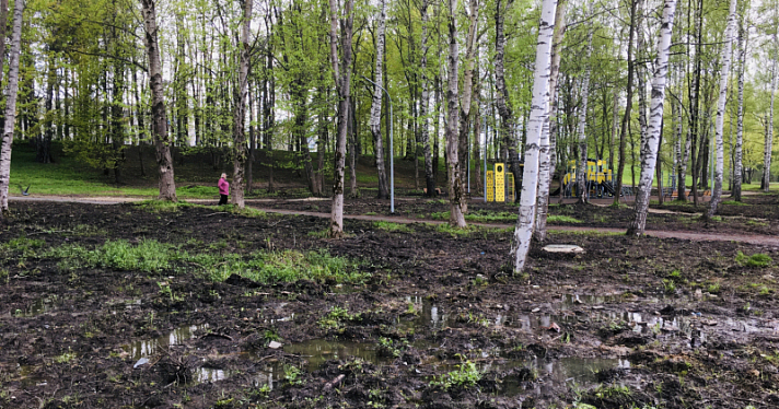 В Ярославле после некачественного благоустройства парка пропал почти миллион рублей_232946