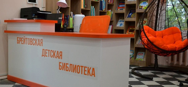 В отдалённом округе Ярославской области открыли библиотеку нового поколения_304288