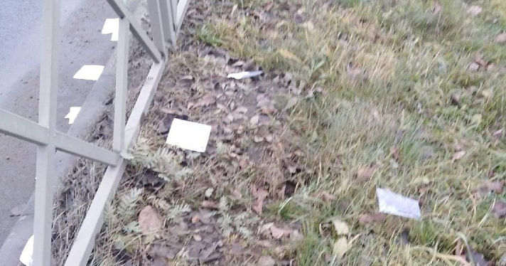Ярославцы нашли десятки почтовых извещений в Дзержинском районе