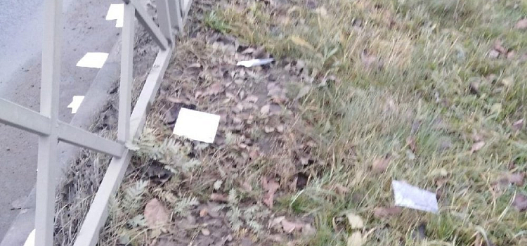 Ярославцы нашли десятки почтовых извещений в Дзержинском районе