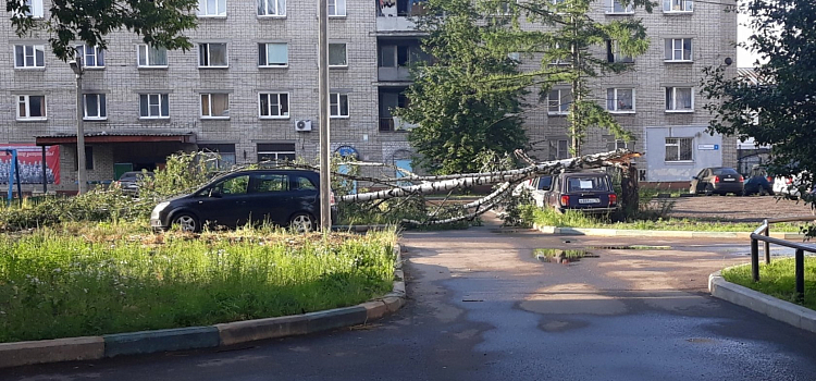 Фото дня. Ярославцы делятся в соцсетях последствиями шторма_164727