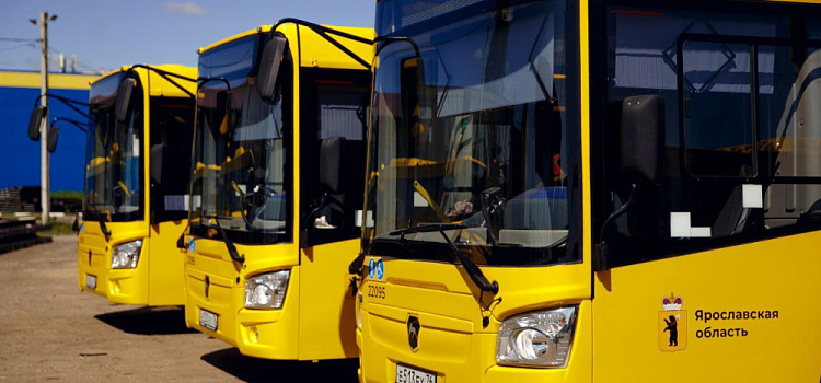 Стало известно, кто поставит в Ярославскую область 202 новых автобуса