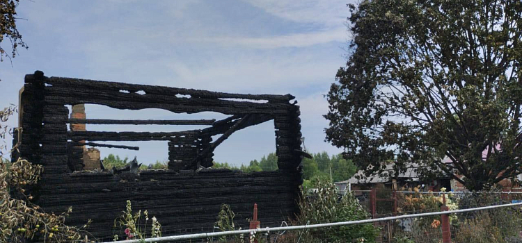 В Борисоглебском округе пожар уничтожил жилой дом и баню_300244