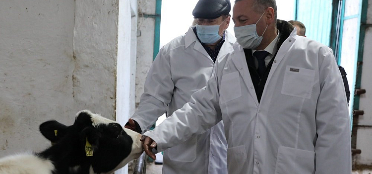 Моторвагонное депо и племзавод в Даниловском районе посетил врио губернатора Михаил Евраев
