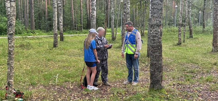 Нарушение новых правил ярославскими собачниками мониторят с помощью уличных камер_279963