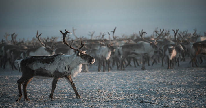Вместе в цифровое будущее: стартует юбилейный конкурс для региональных ИТ-журналистов и блогеров