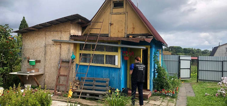 Зашёл и начал срезать цветы: в Ярославской области в СНТ рецидивист жестоко расправился с незнакомой дачницей