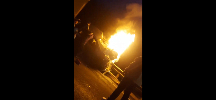 В Ярославской области лось стал причиной ДТП, в котором пострадали три человека