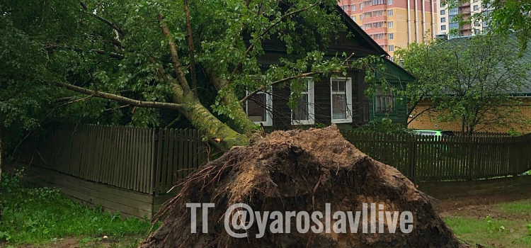 В Ярославле приступили к устранению последствий непогоды