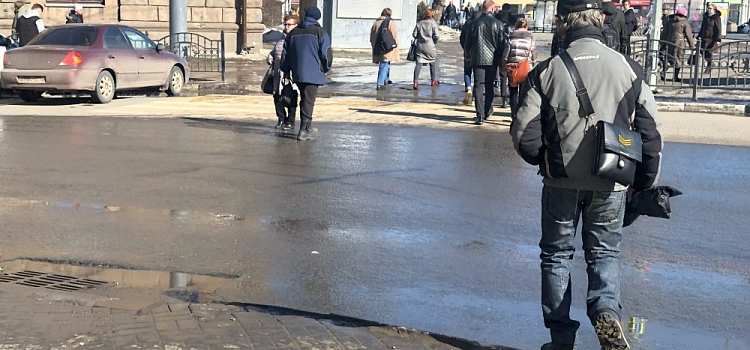Климатическая весна! Синоптики рассказали, когда в Ярославле потеплеет