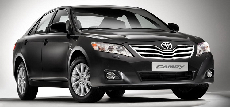 Активисты ОНФ заинтересовались закупкой «Зеленхозстроя»