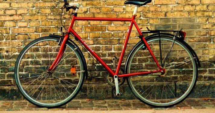 В Брагино неизвестные украли 2 велосипеда