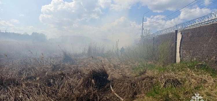 В Ярославле произошёл большой пал сухой травы_315507
