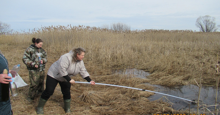 В Ярославской области в Плещеево озеро попали сточные воды из воинской части_236861