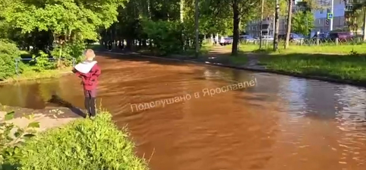 Улица в Дзержинском районе Ярославля ушла под воду